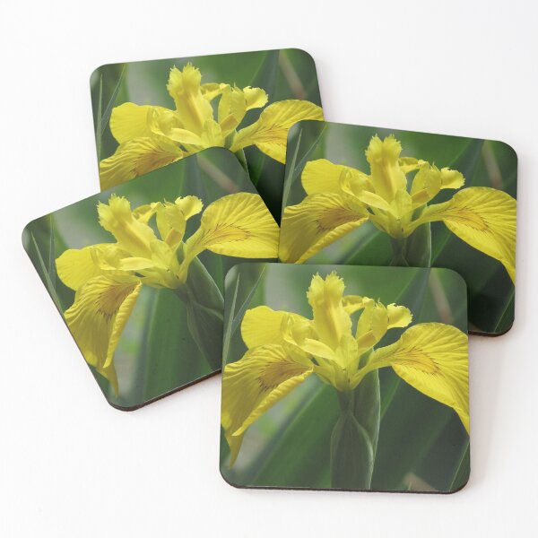 Item preview, Yellow Wild Iris - The Vicksburg Collection designed and sold by Sam Morrison.