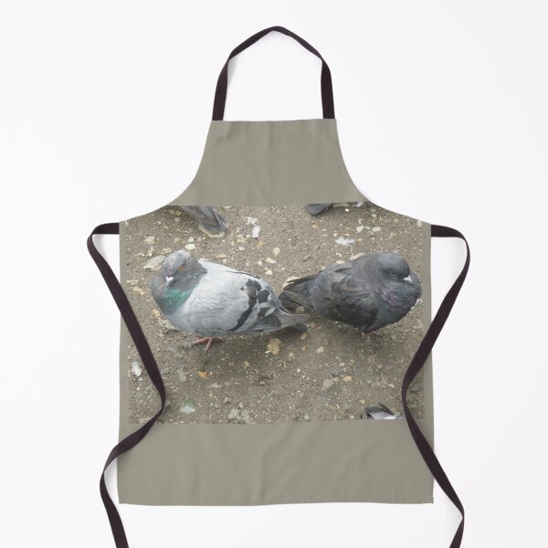 Item preview, Pigeon Pals Back to Back Photograph designed and sold by naturegallery.