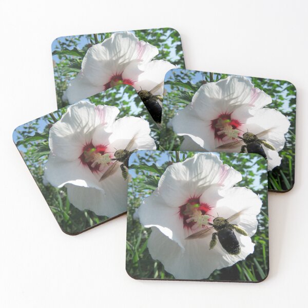 Item preview, Bee Collecting Pollen in White Flower designed and sold by Sam Morrison.