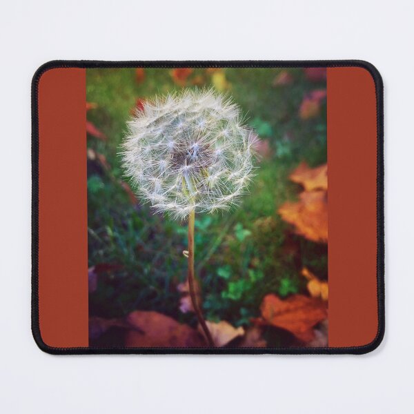 Item preview, Before They Scatter designed and sold by JulesXenDesign.