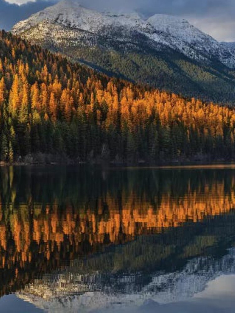 Mountain Peaks Reflect Into Bowman Lake In Autumn Glacier National Park by HammiltenJohn