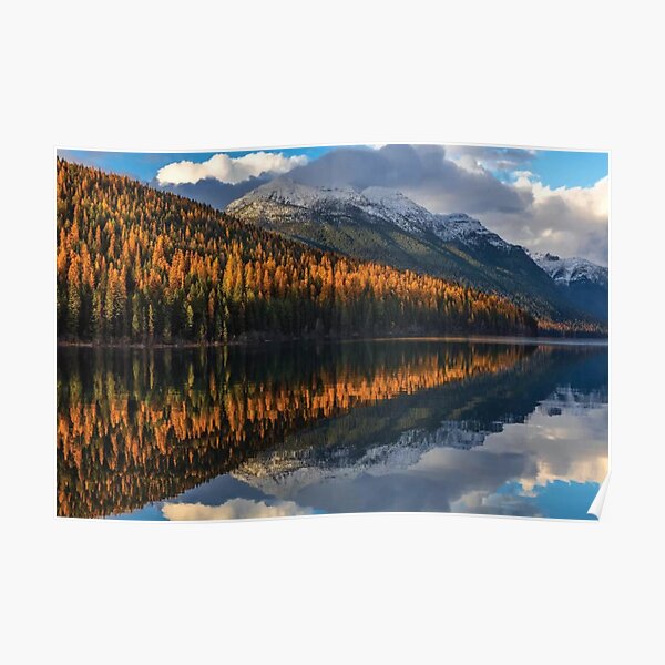 Mountain Peaks Reflect Into Bowman Lake In Autumn Glacier National Park Poster
