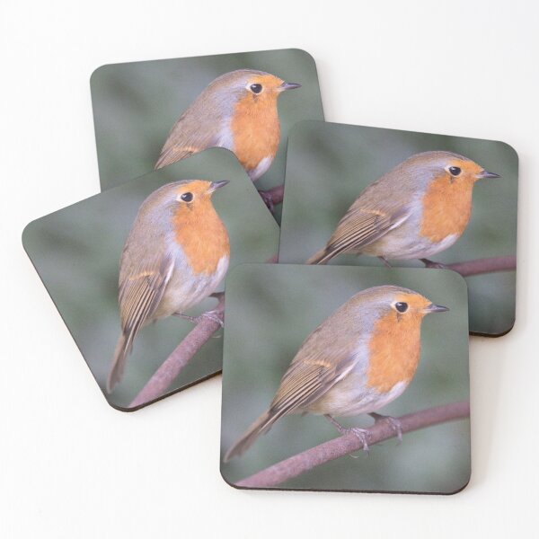 Item preview, Robin designed and sold by Derren Jones.