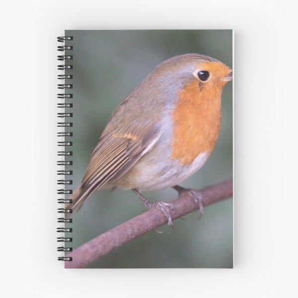 Item preview, Robin designed and sold by Derren Jones.