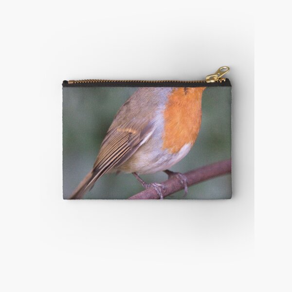 Item preview, Robin designed and sold by Derren Jones.