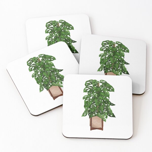 Item preview, Monstera Adansonii Plant Illustration designed and sold by Ana Moguš.