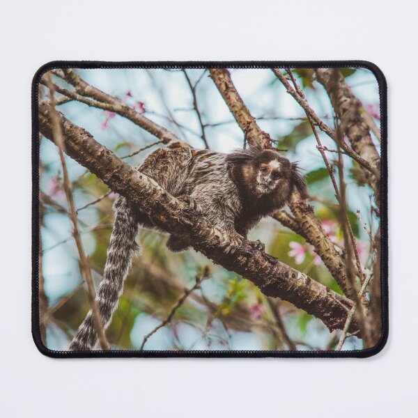 Item preview, Monkey designed and sold by anafrancisconi.