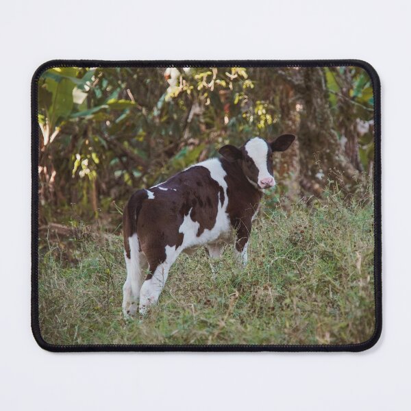 Vista previa del artículo con la obra «Vaca bebé», diseñado y vendido por anafrancisconi.
