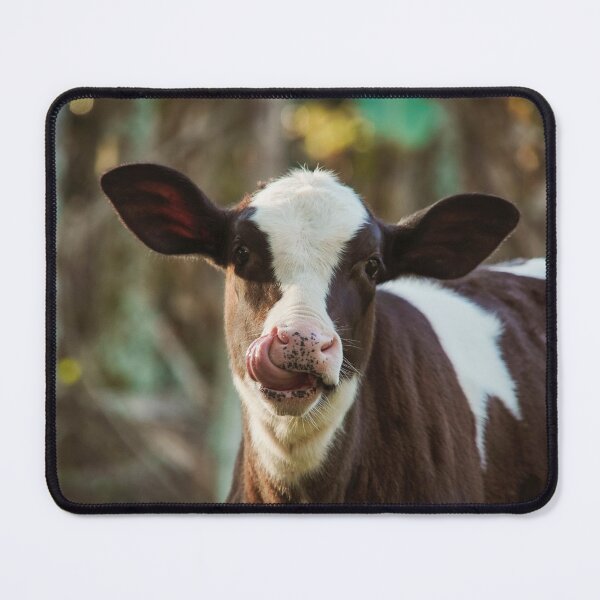 Vista previa del artículo con la obra «Vaca bebé», diseñado y vendido por anafrancisconi.
