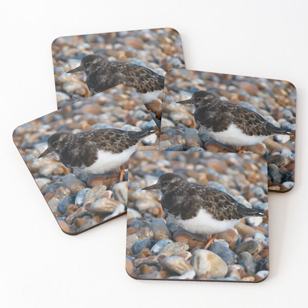 Item preview, Turnstone . designed and sold by GingerMan2550.