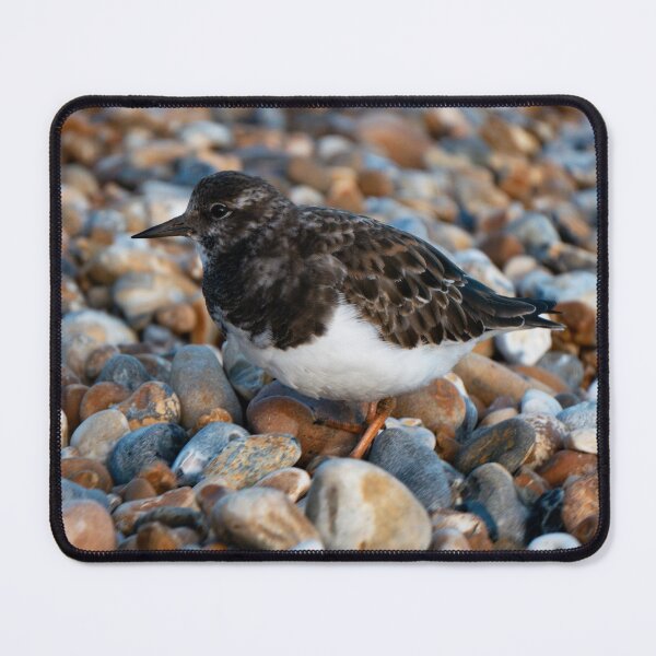 Item preview, Turnstone . designed and sold by GingerMan2550.
