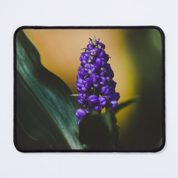 Item preview, Grape Hyacinths designed and sold by anafrancisconi.