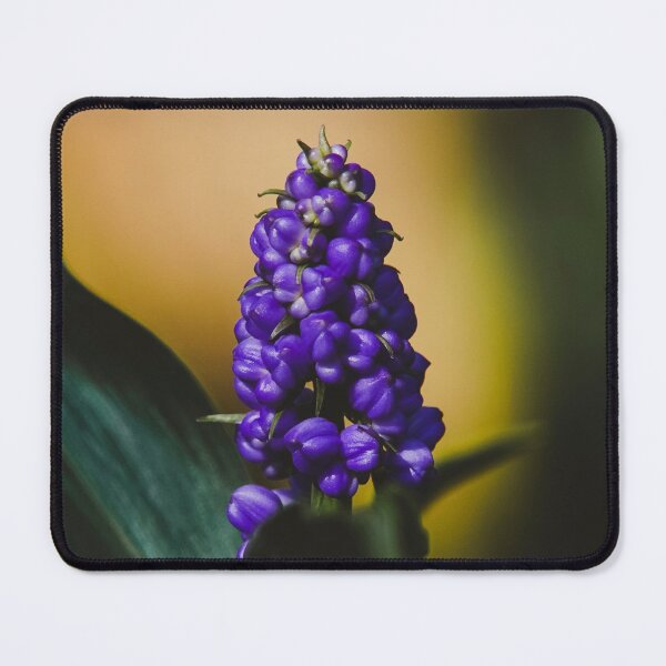 Item preview, Grape Hyacinths designed and sold by anafrancisconi.