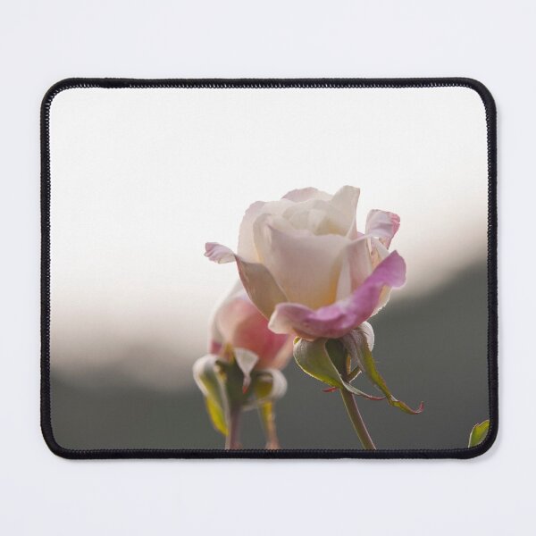 Item preview, Hybrid Tea Rose - Flower designed and sold by anafrancisconi.