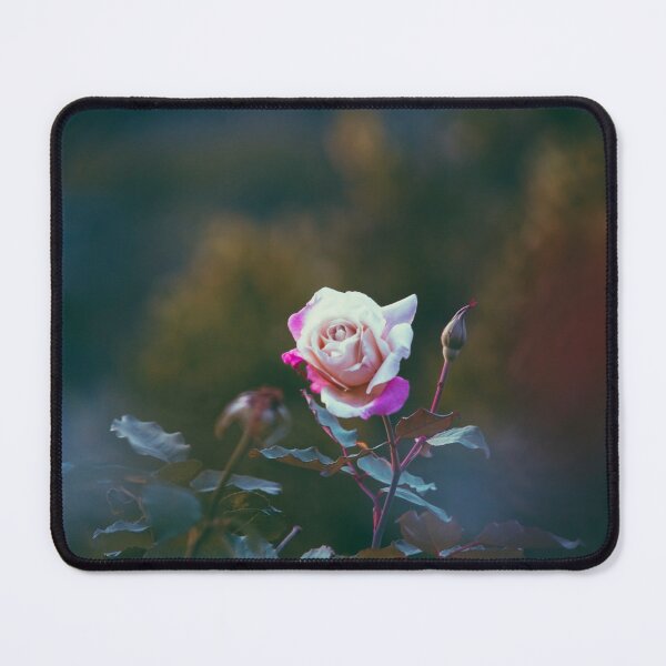 Item preview, Hybrid Tea Rose - Flower designed and sold by anafrancisconi.
