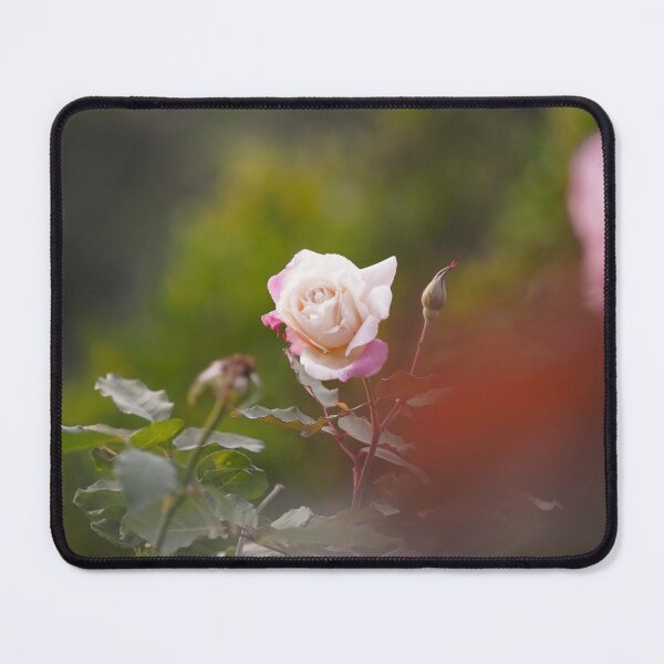 Item preview, Hybrid Tea Rose - Flower designed and sold by anafrancisconi.