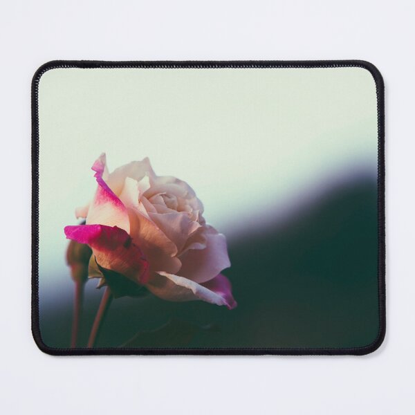 Item preview, Hybrid Tea Rose - Flower designed and sold by anafrancisconi.