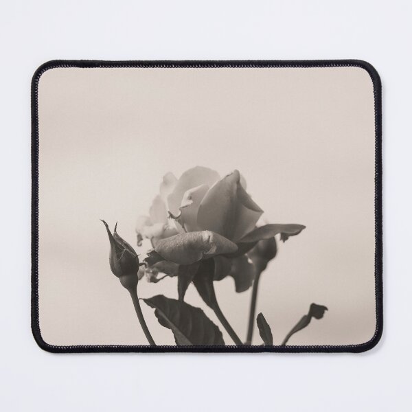 Item preview, Hybrid Tea Rose - Flower designed and sold by anafrancisconi.