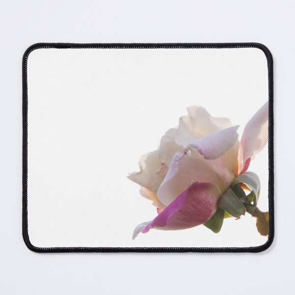 Item preview, Hybrid Tea Rose - Flower designed and sold by anafrancisconi.