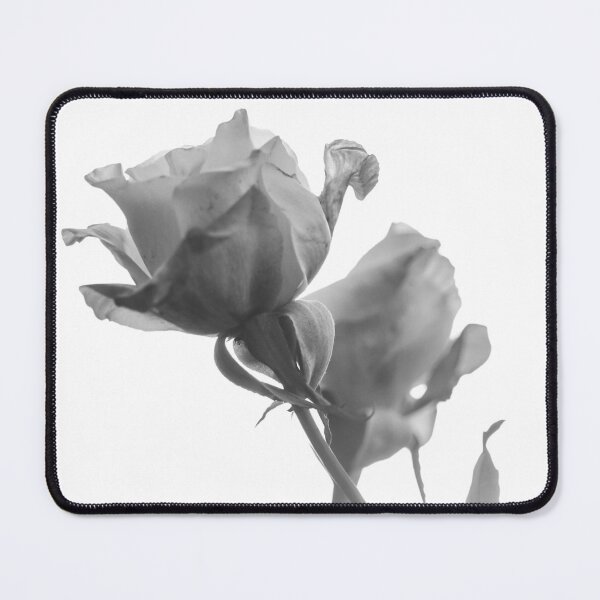 Item preview, Hybrid Tea Rose - Flower designed and sold by anafrancisconi.