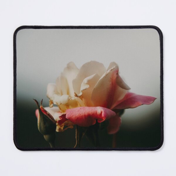 Item preview, Hybrid Tea Rose - Flower designed and sold by anafrancisconi.