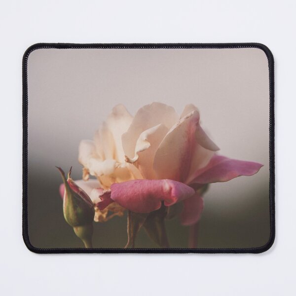 Item preview, Hybrid Tea Rose - Flower designed and sold by anafrancisconi.