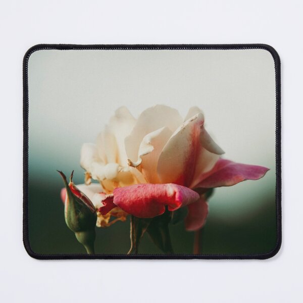 Item preview, Hybrid Tea Rose - Flower designed and sold by anafrancisconi.