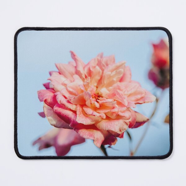 Item preview, Hybrid Tea Rose - Flower designed and sold by anafrancisconi.