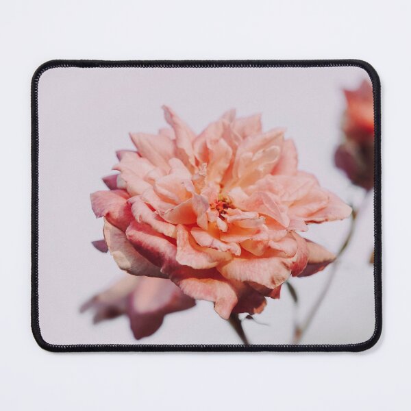 Item preview, Hybrid Tea Rose - Flower designed and sold by anafrancisconi.