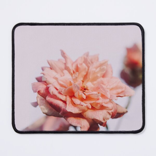 Item preview, Hybrid Tea Rose - Flower designed and sold by anafrancisconi.