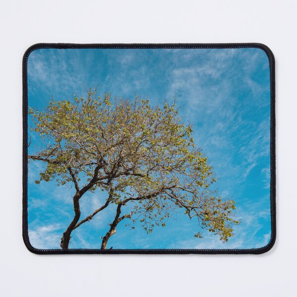 Item preview, Tree - Photography Landscape designed and sold by anafrancisconi.