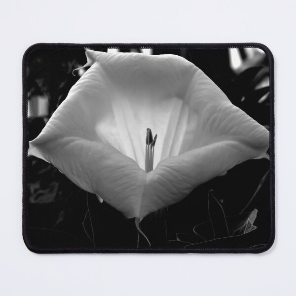 Item preview, Dramatic Glowing Moonflower designed and sold by Sam Morrison.