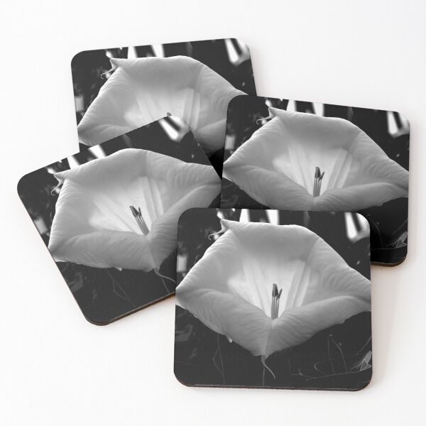 Item preview, Dramatic Glowing Moonflower designed and sold by Sam Morrison.