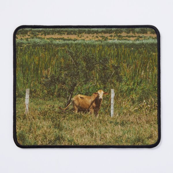 Item preview, Cow designed and sold by anafrancisconi.
