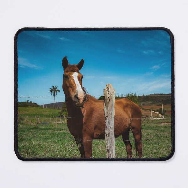 Item preview, Horse designed and sold by anafrancisconi.
