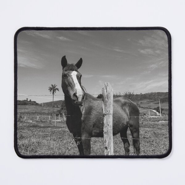 Item preview, Horse designed and sold by anafrancisconi.