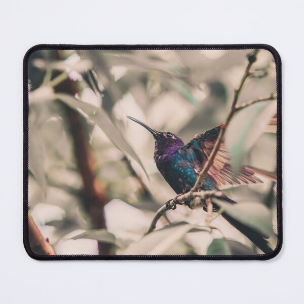 Item preview, Hummingbird designed and sold by anafrancisconi.