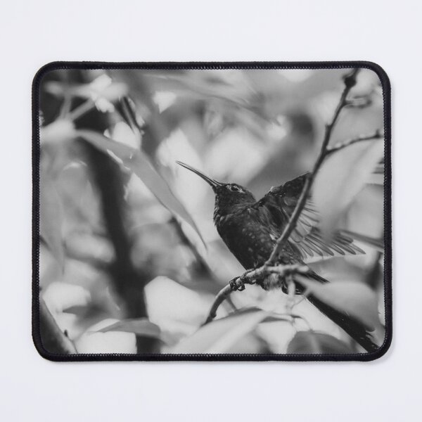 Item preview, Hummingbird designed and sold by anafrancisconi.