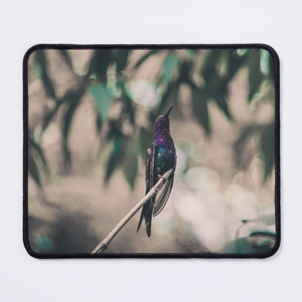 Item preview, Hummingbird designed and sold by anafrancisconi.
