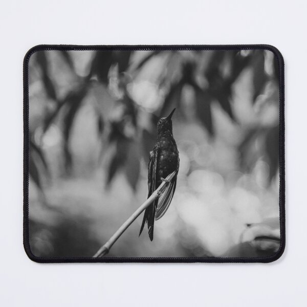 Item preview, Hummingbird designed and sold by anafrancisconi.