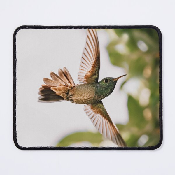 Item preview, Hummingbird designed and sold by anafrancisconi.