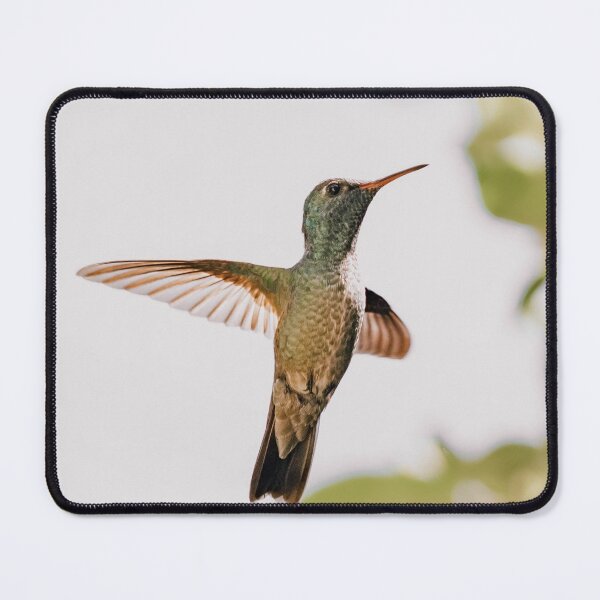 Item preview, Hummingbird designed and sold by anafrancisconi.