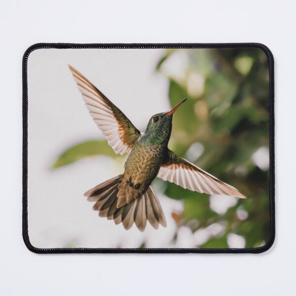 Item preview, Hummingbird designed and sold by anafrancisconi.