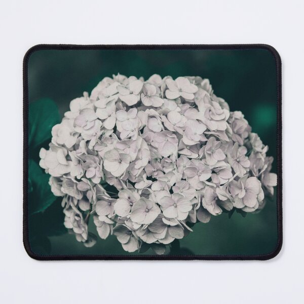 Item preview, Hydrangea Flower designed and sold by anafrancisconi.