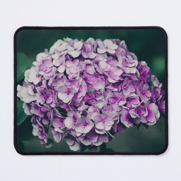 Item preview, Hydrangea Flower designed and sold by anafrancisconi.