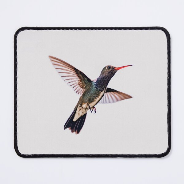 Item preview, Hummingbird designed and sold by anafrancisconi.