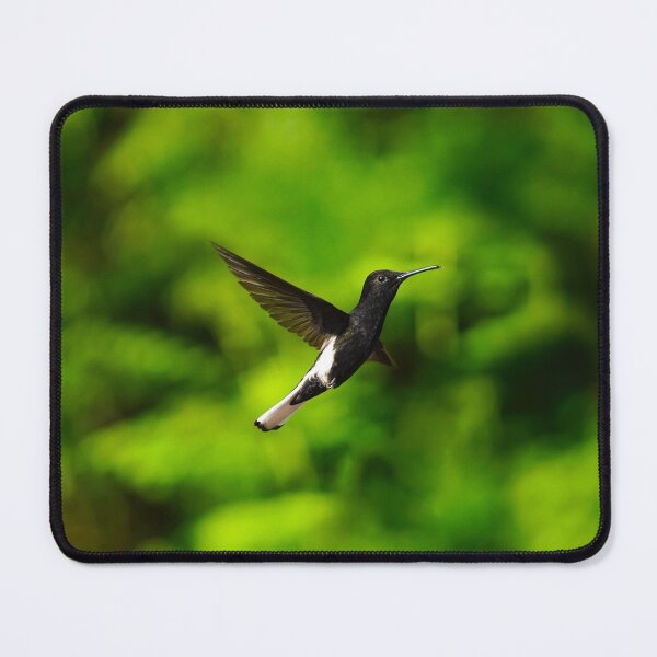Item preview, Hummingbird designed and sold by anafrancisconi.