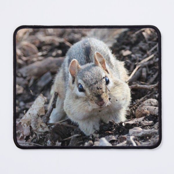Item preview, Dirty Face Chipmunk designed and sold by Susie Kramer.