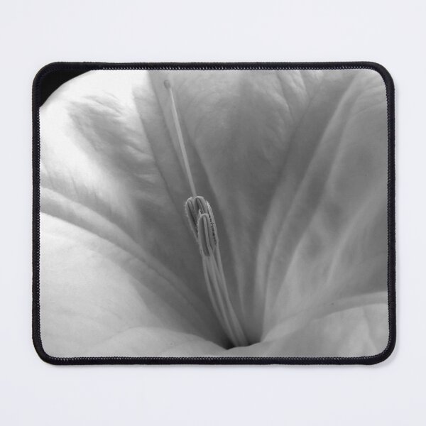 Item preview, White Moonflower Close-up designed and sold by Sam Morrison.