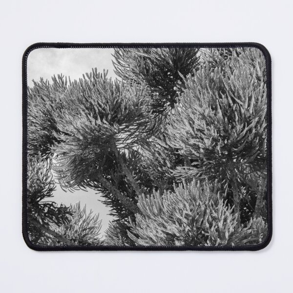 Item preview, Tree designed and sold by anafrancisconi.